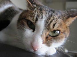 IMG05275.jpg