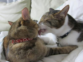 IMG05278.jpg