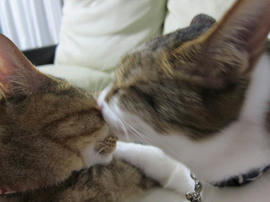 IMG05279.jpg