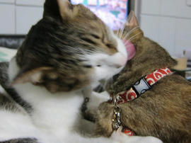 IMG05281.jpg