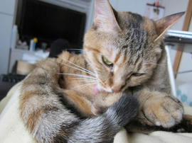 IMG05282.jpg