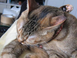 IMG05285.jpg