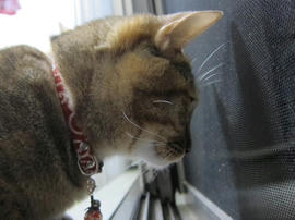 IMG05292.jpg