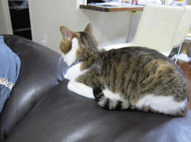 IMG05295.jpg