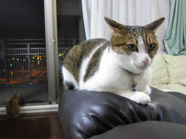 IMG05296.jpg