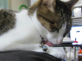 IMG05300.jpg