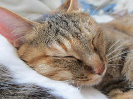 IMG05310.jpg