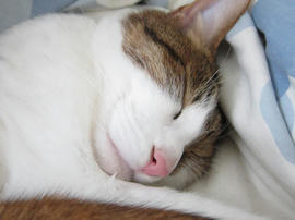 IMG05311.jpg