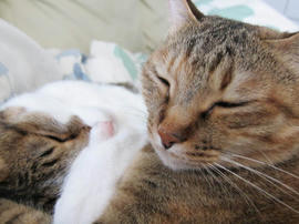 IMG05313.jpg