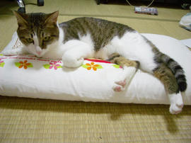 IMGP13997.jpg
