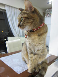 IMG05314.jpg
