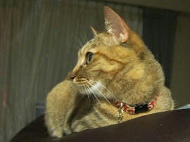 IMG05317.jpg