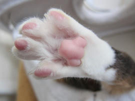 IMG05321.jpg