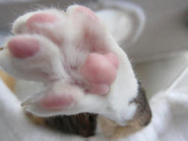 IMG05323.jpg