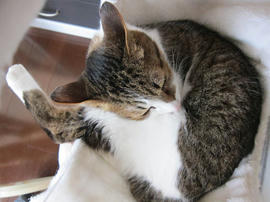 IMG05324.jpg