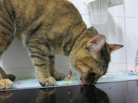 IMG05328.jpg