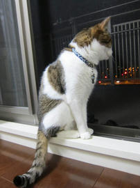 IMG05330.jpg
