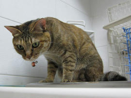 IMG05331.jpg