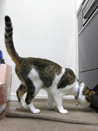 IMG05332.jpg