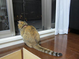 IMG05334.jpg