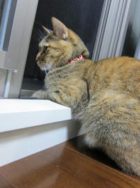 IMG05335.jpg