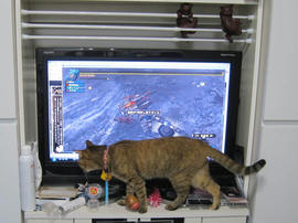 IMG05341.jpg