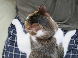 IMG05342.jpg