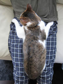 IMG05343.jpg