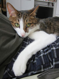 IMG05344.jpg