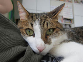 IMG05345.jpg