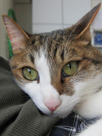 IMG05346.jpg