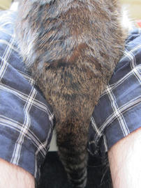 IMG05349.jpg