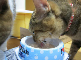 IMG05352.jpg