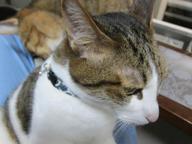 IMG05356.jpg