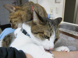 IMG05360.jpg