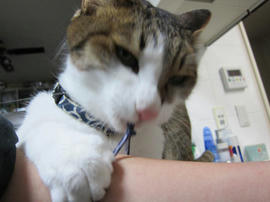 IMG05363.jpg