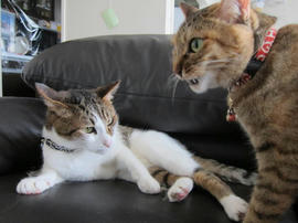 IMG05369.jpg