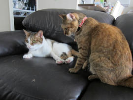 IMG05370.jpg