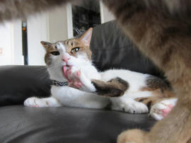 IMG05371.jpg