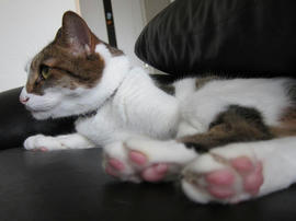 IMG05372.jpg