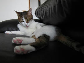 IMG05373.jpg