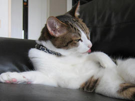 IMG05374.jpg