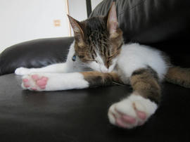 IMG05375.jpg