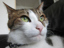 IMG05379.jpg