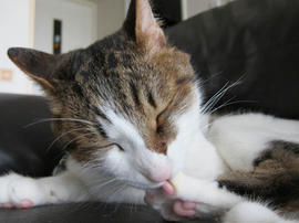 IMG05380.jpg