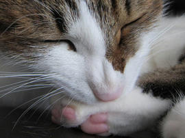 IMG05381.jpg