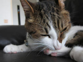 IMG05382.jpg