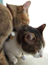 IMG02560.jpg