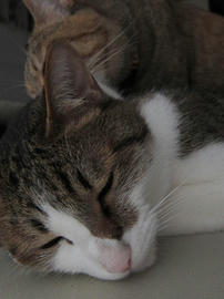 IMG02564.jpg