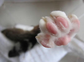 IMG05390.jpg